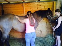 Jarní kurzy úspěšně za námi