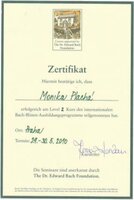 Bachova květová terapie