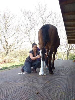 Spouštíme nové workshopy