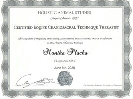 Animal Holistic Centre, USA