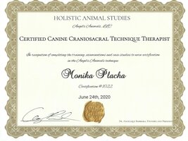 Animal Holistic Centre, USA